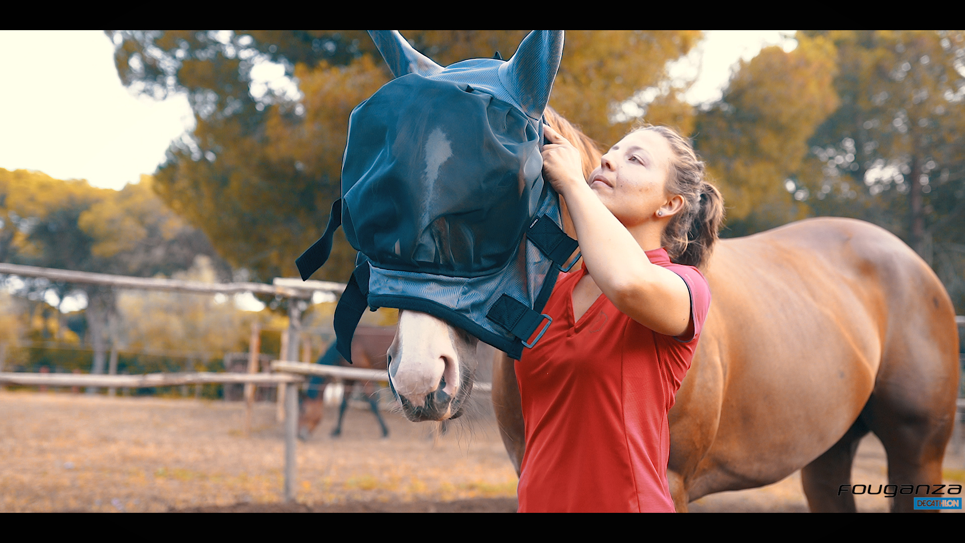 E’ estate: proteggiamo pony e cavalli!