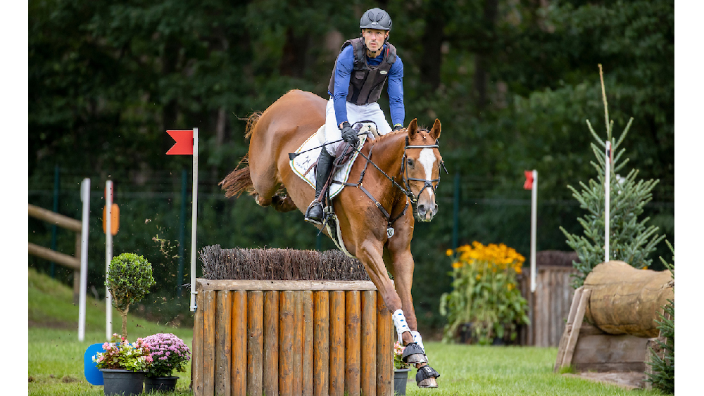 Hanoverian: Three champions crowned