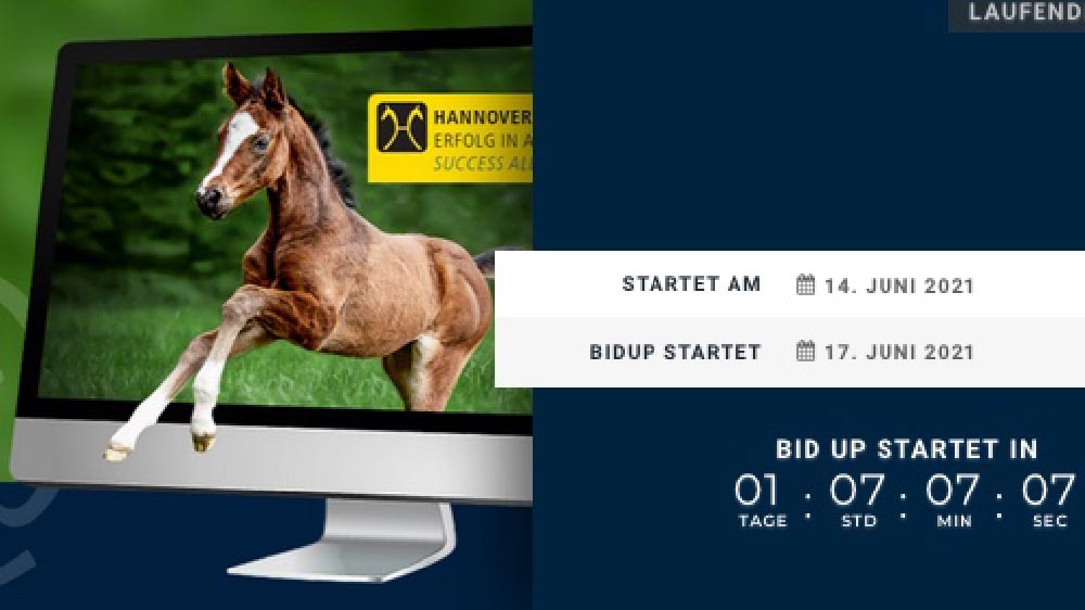 Verden auction