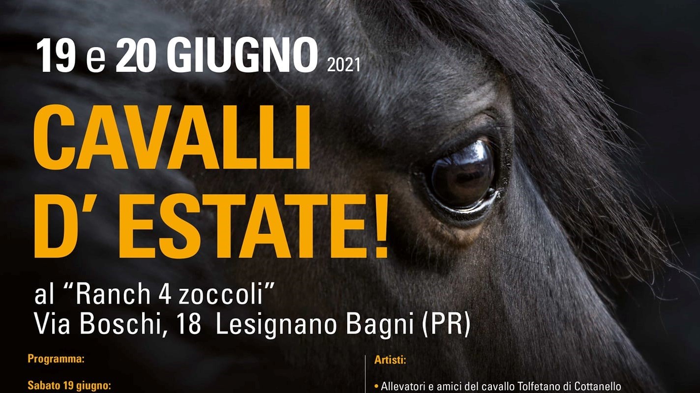 Cavalli d’Estate: e si ricomincia!