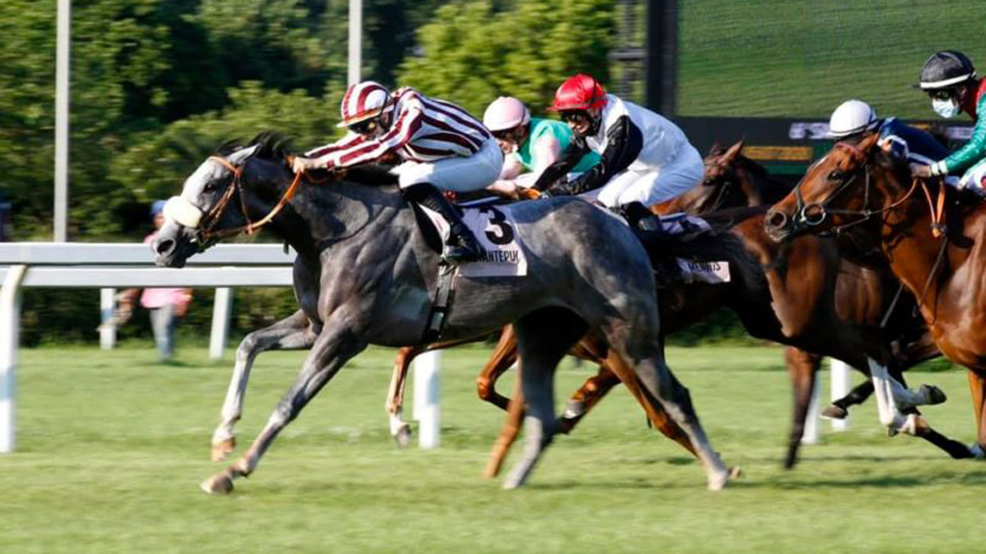 Spettacolo a San Siro con le Oaks d’Italia