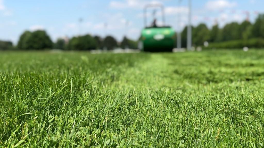 Luca Frassi: perché l’erba del San Siro è sempre più verde