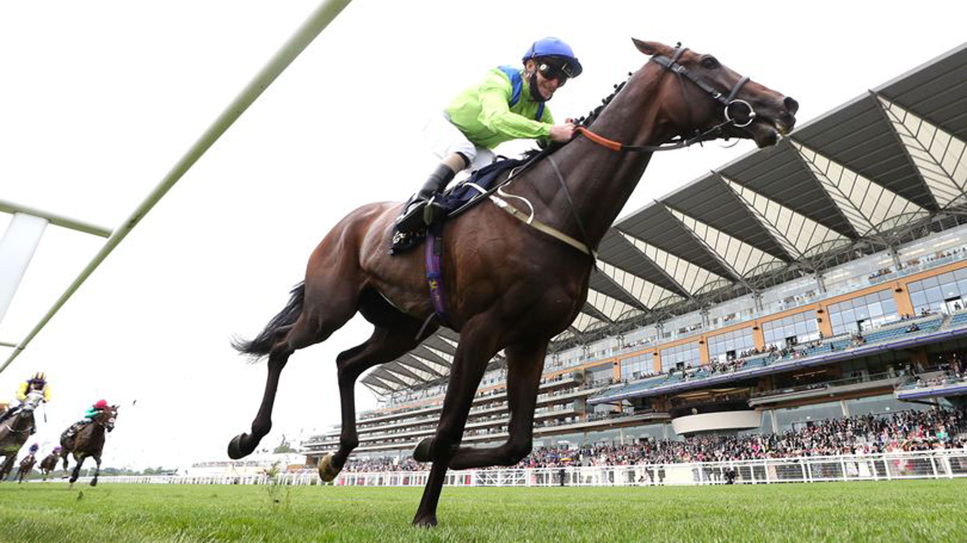 Royal Ascot: la Gold Cup a Subjectivist