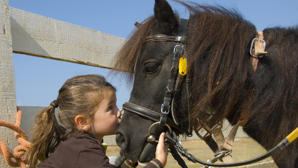 _Inclusione_pony_bambini
