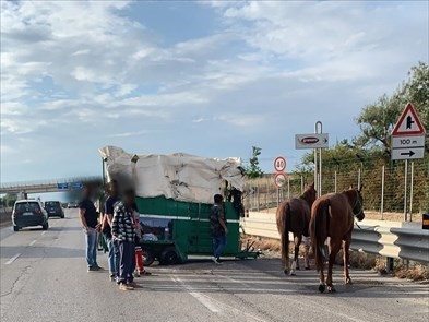 incidente corato