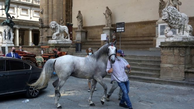 Cavalli, carrozze e firme: il fascino perverso della proibizione