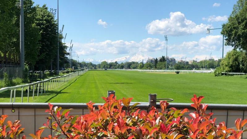 Lavori serrati per il team organizzativo della Milano Jumping Cup
