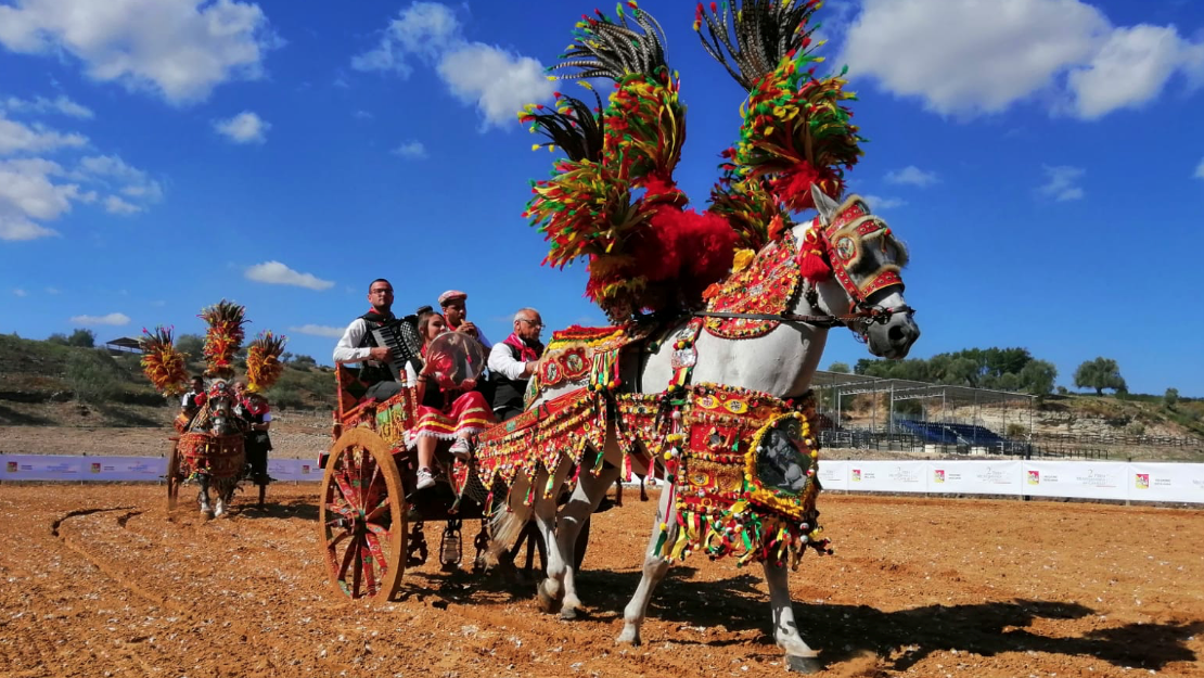 3° Fiera Mediterranea del Cavallo: ad Ambelia la tradizione non se ne è mai andata