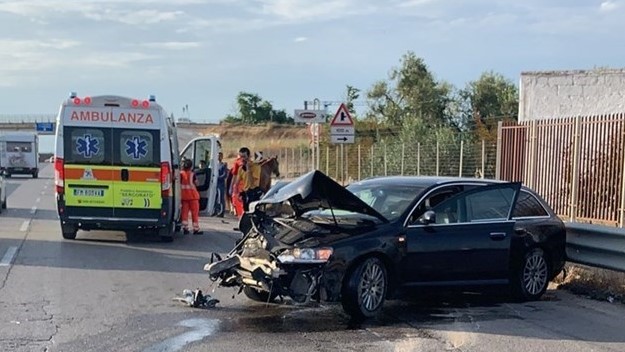 Bari, due cavalli su trailer feriti in un incidente