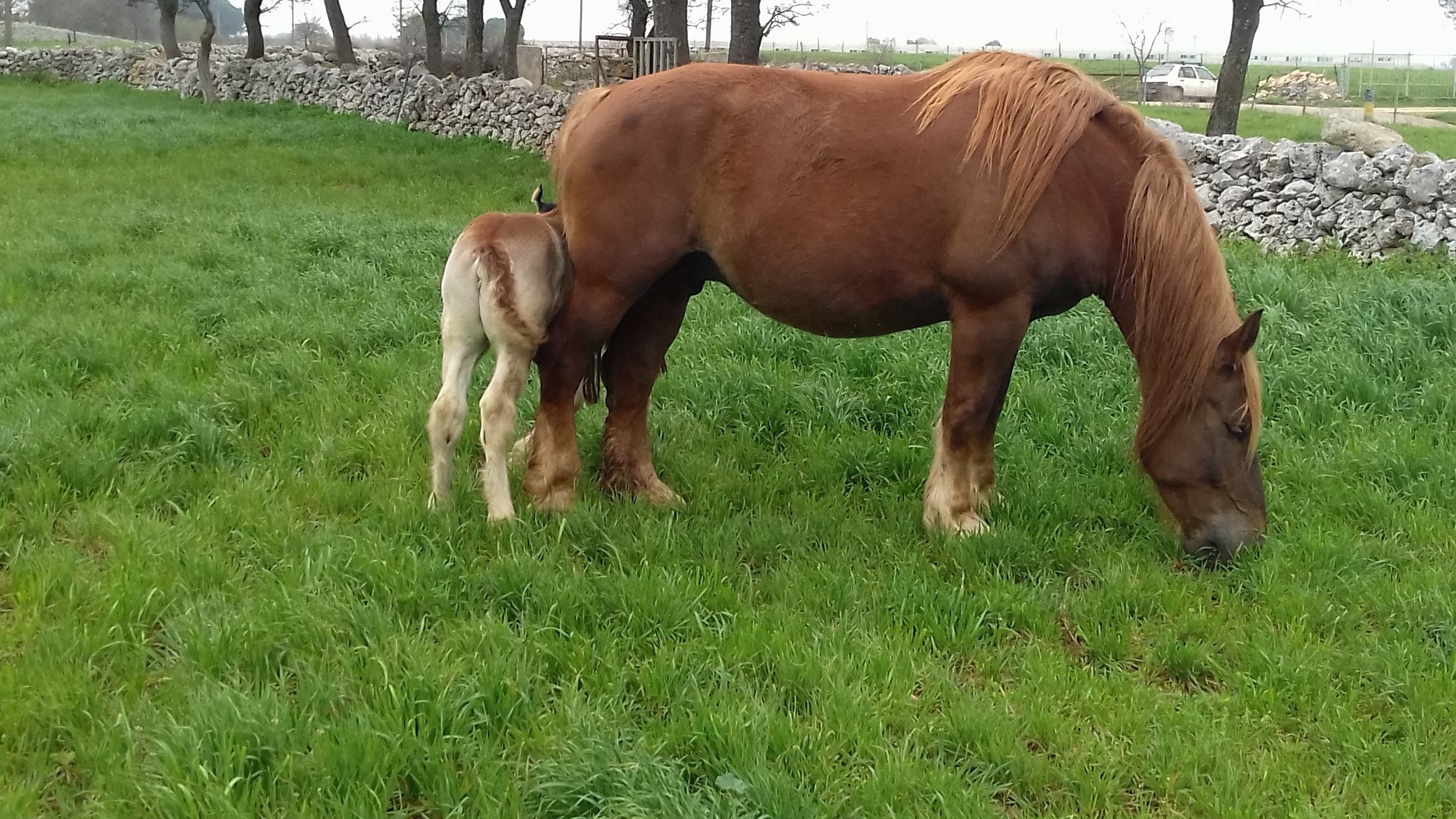 I Meeting Caitpr tornano in Puglia