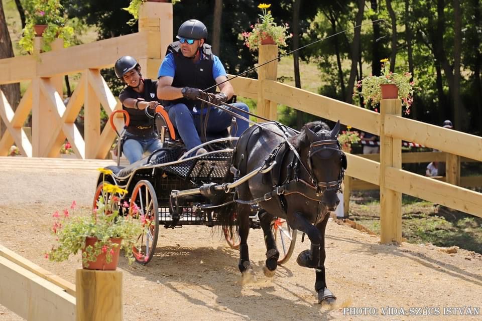 WhatsApp Image 2021 07 28 at 10.52.45 1