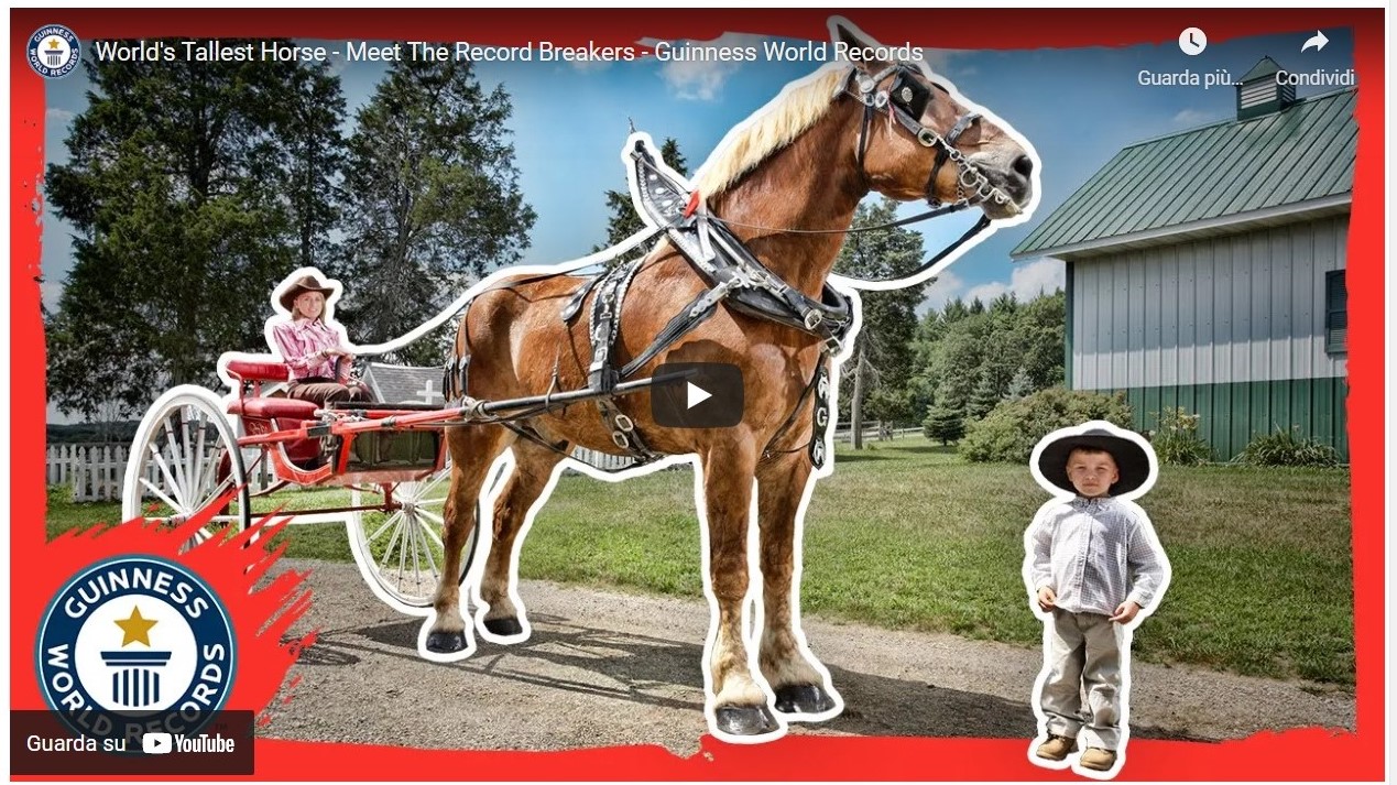 Big Jake, il cavallo più alto del mondo, non c’è più