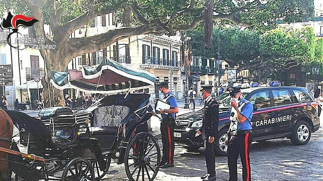 Palermo: i Carabinieri sequestrano cavallo e carrozza a uno gnuri senza autorizzazione