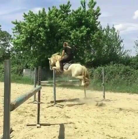 gipsy 3