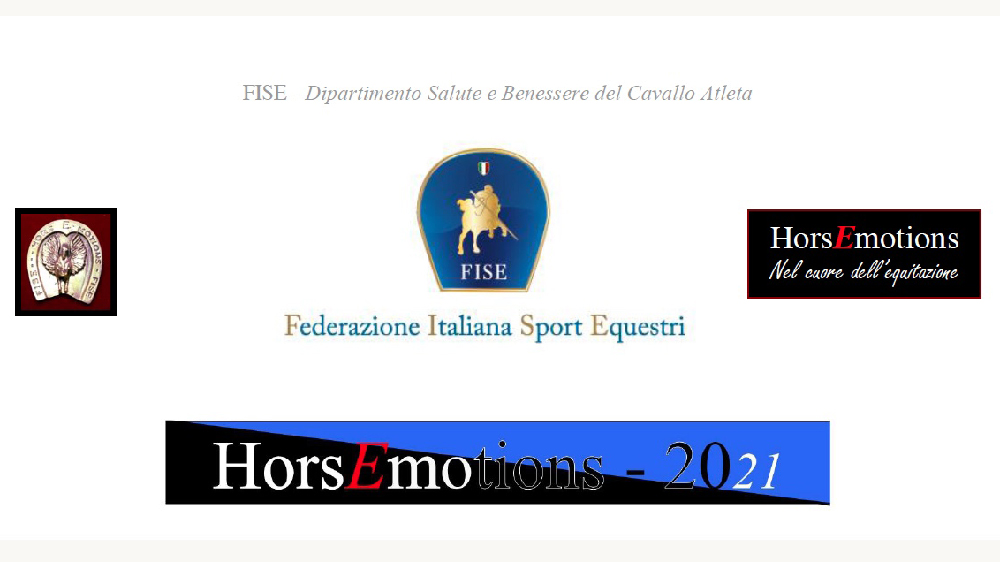 _horsEmotion