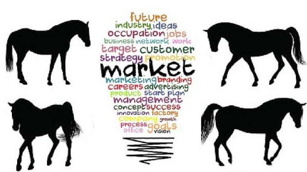 Marketing & cavalli: un aiuto per imprendere