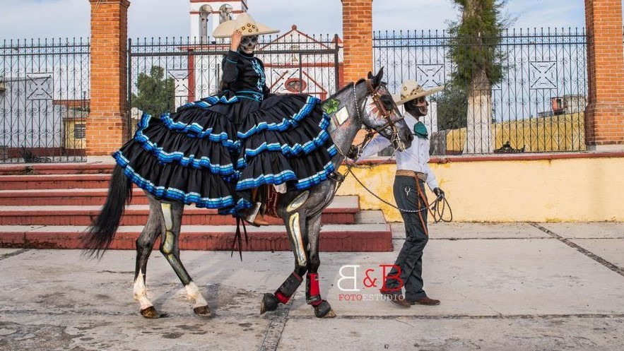 Cavalli di famiglia: Dakota, dal Messico