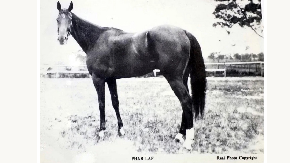 phar Lap1
