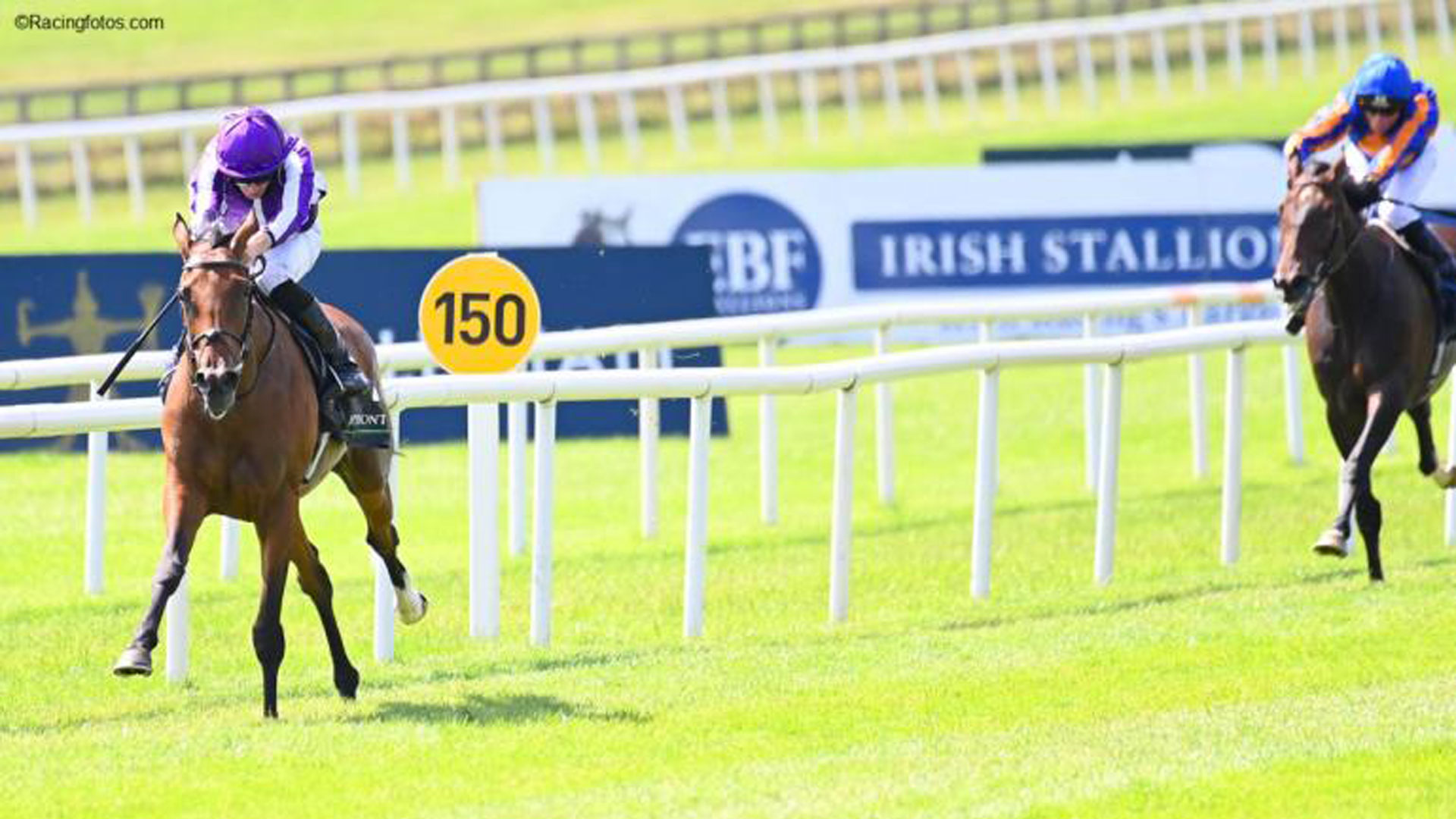 Trionfo di Snowfall nelle Oaks d’Irlanda