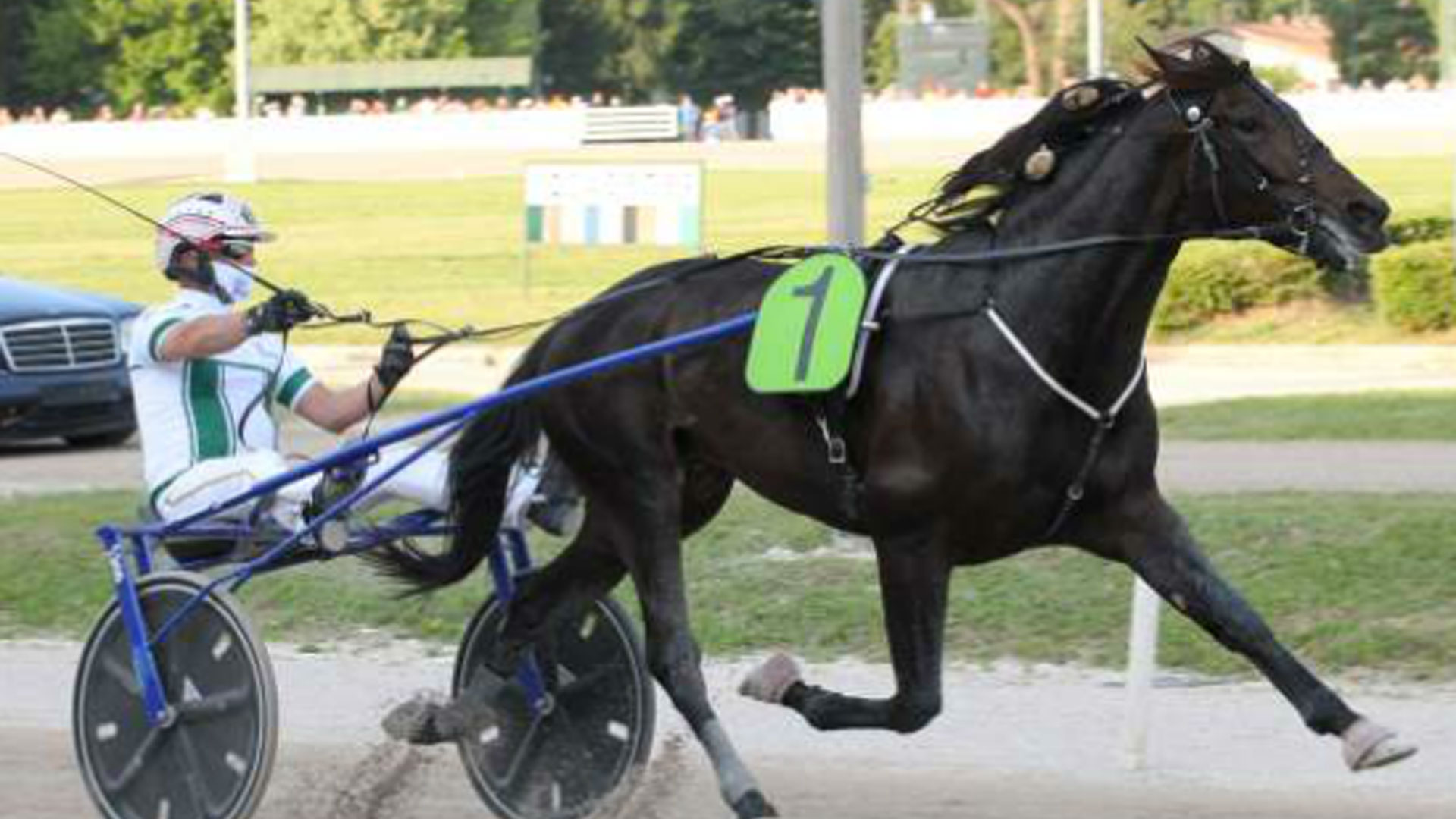 Zacon Gio super nel Gran Premio Due Mari
