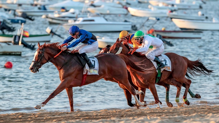 Tutti al mare, e di gran galoppo