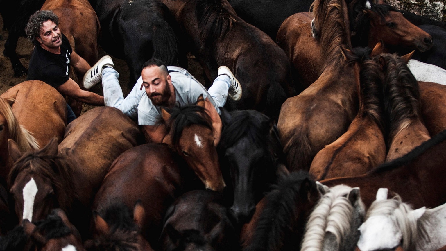 Galizia: la Rapa das Bestas