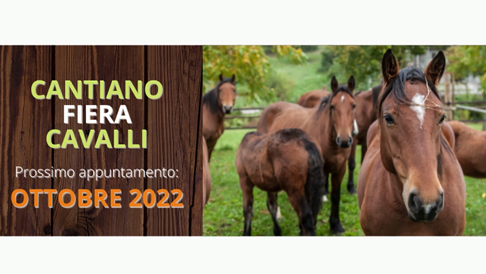 Anche quest’anno, niente fiera per il Catria