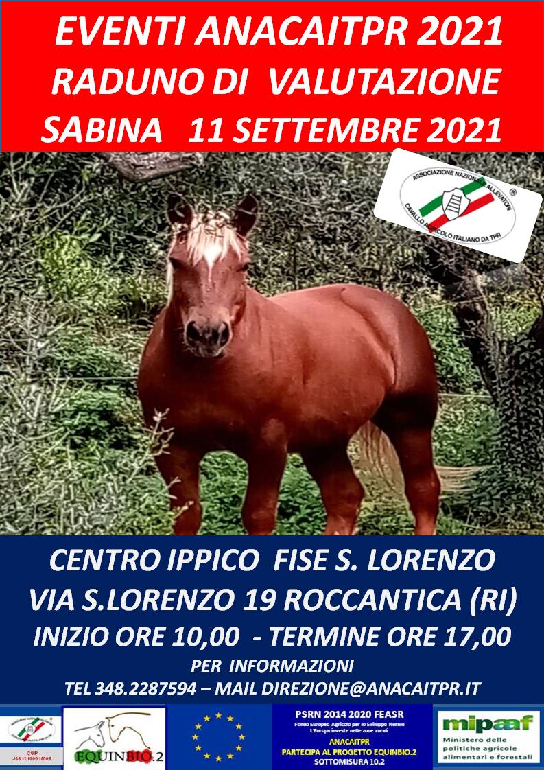 LOCANDINA ROCCANTICA 2021