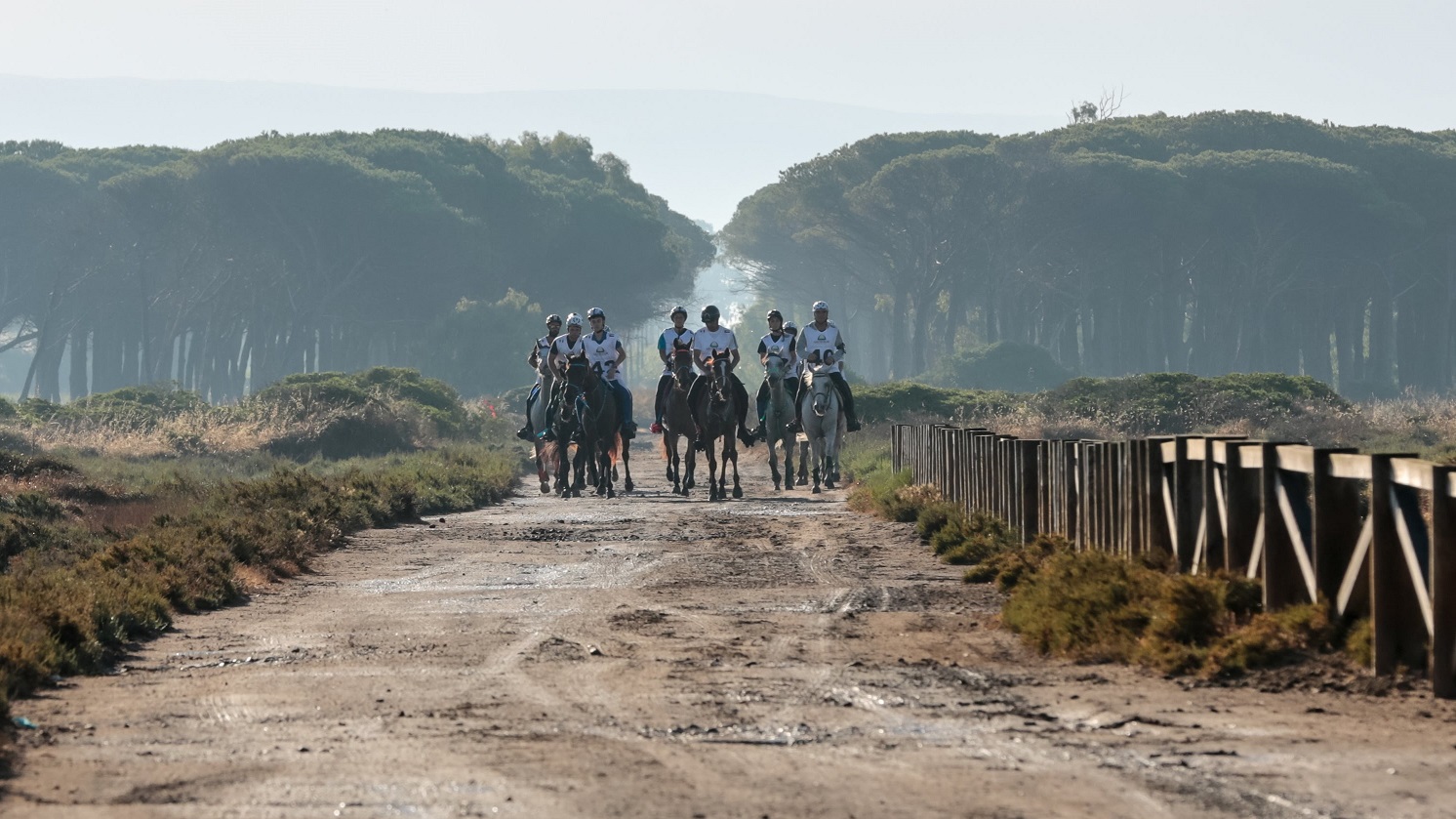 Sardegna Endurance Festival 2021: ad Arborea ci sarà il mondo!