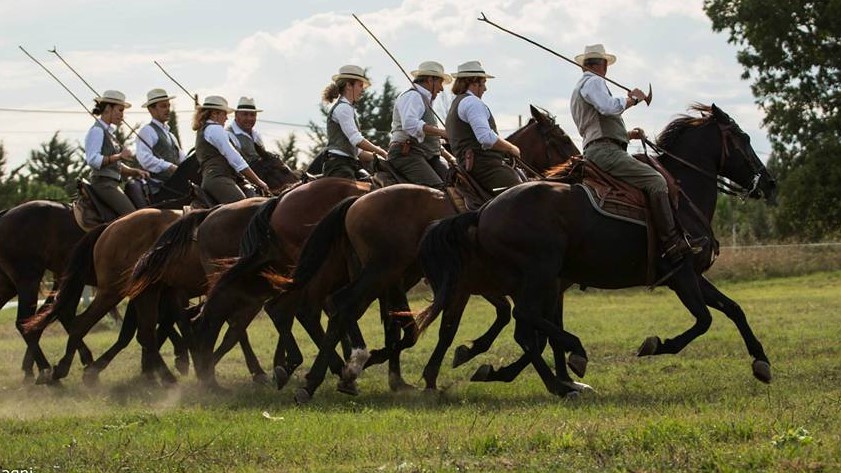 41° Mostra Nazionale del Cavallo Maremmano: tutti a Canino