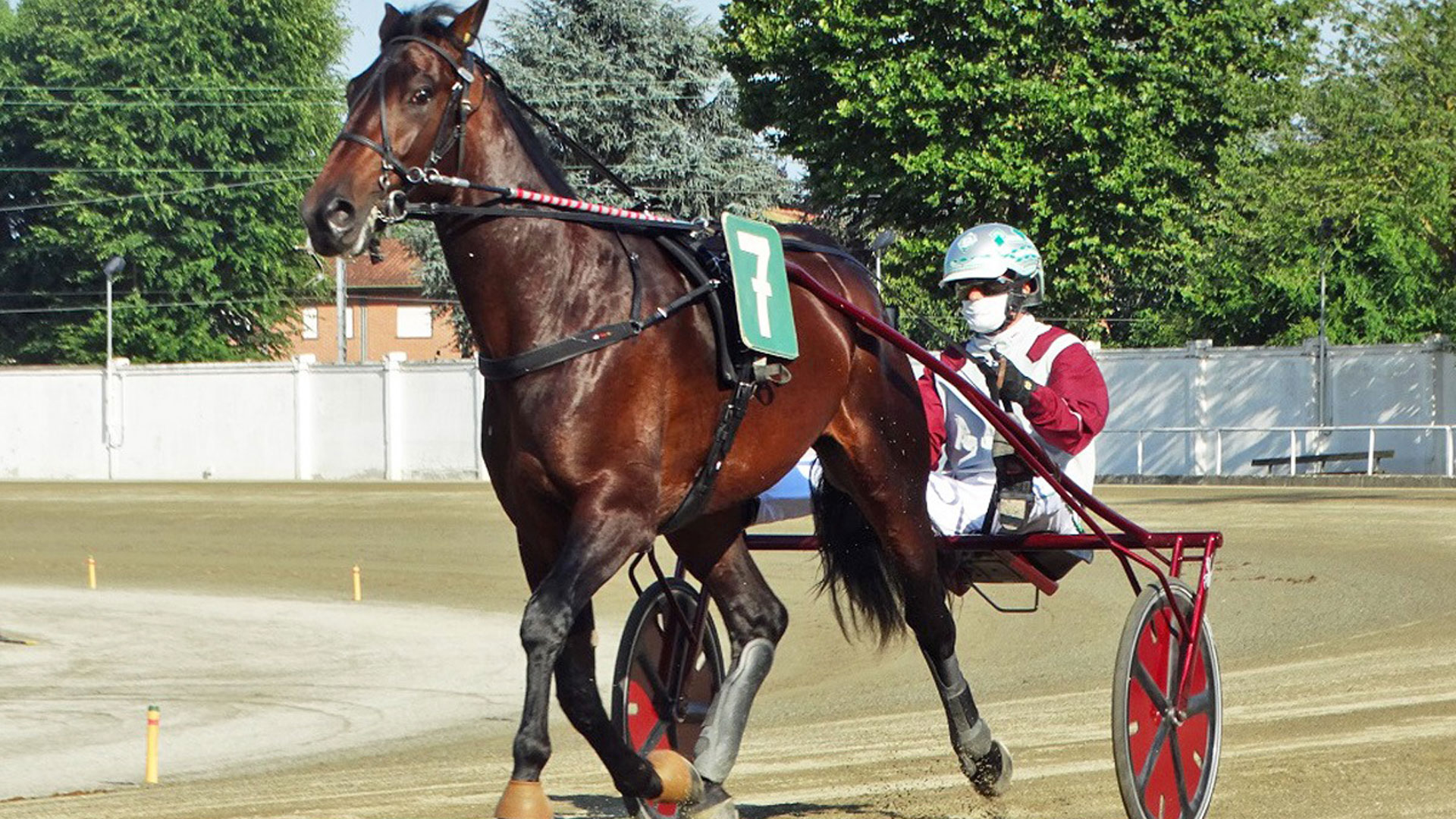 Domenica a Torino il GP Marangoni