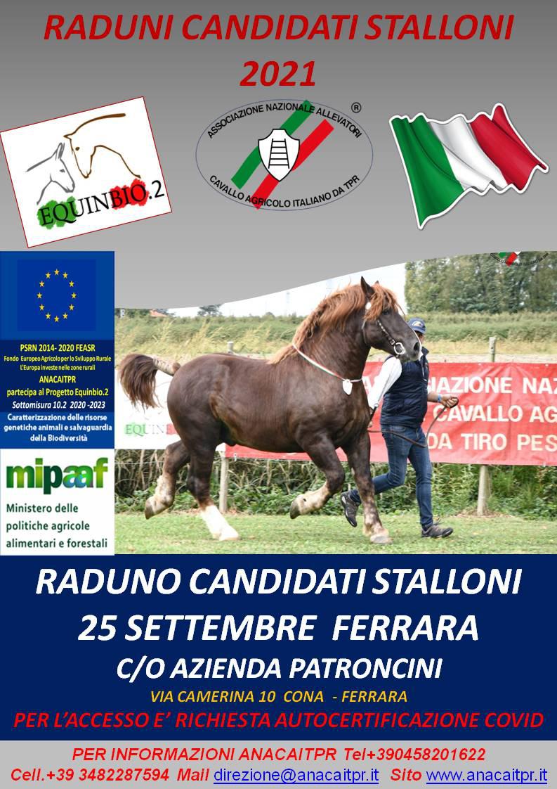 ferrara