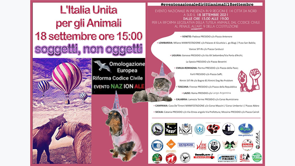 Una riforma che serve a tutti: Horse Angels c’è