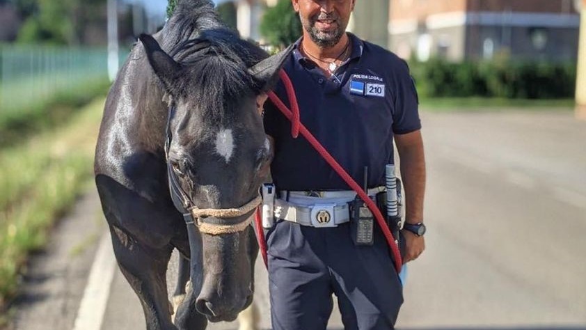 Modena: Murello in gita a Vaciglio