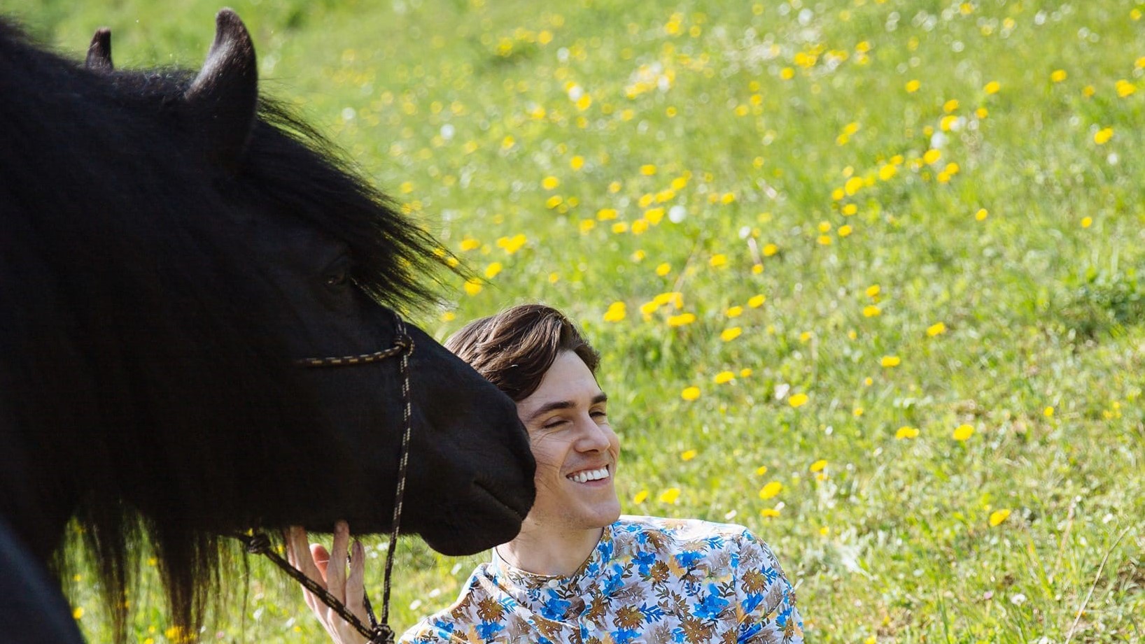 Romeo, cavallo Bardigiano: top-model per un giorno!