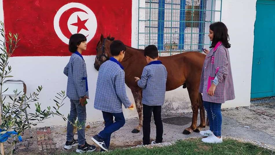 Tunisia: anche gli Sloughi e i pony di Mogods a scuola con i bambini