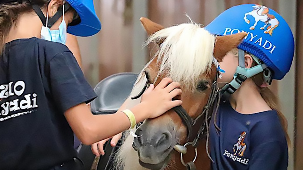 Arriva il corso di equimotricità con i pony