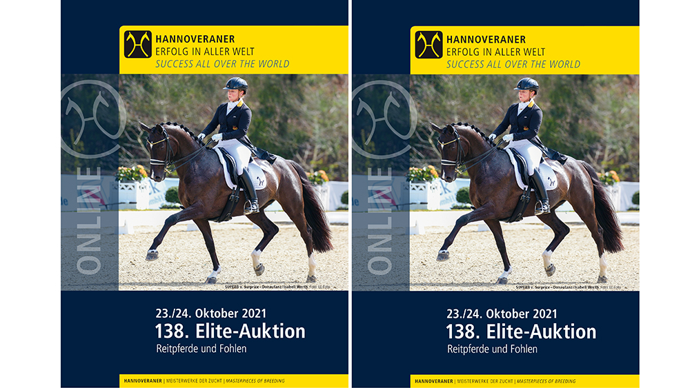 Elite horses in the golden autumn