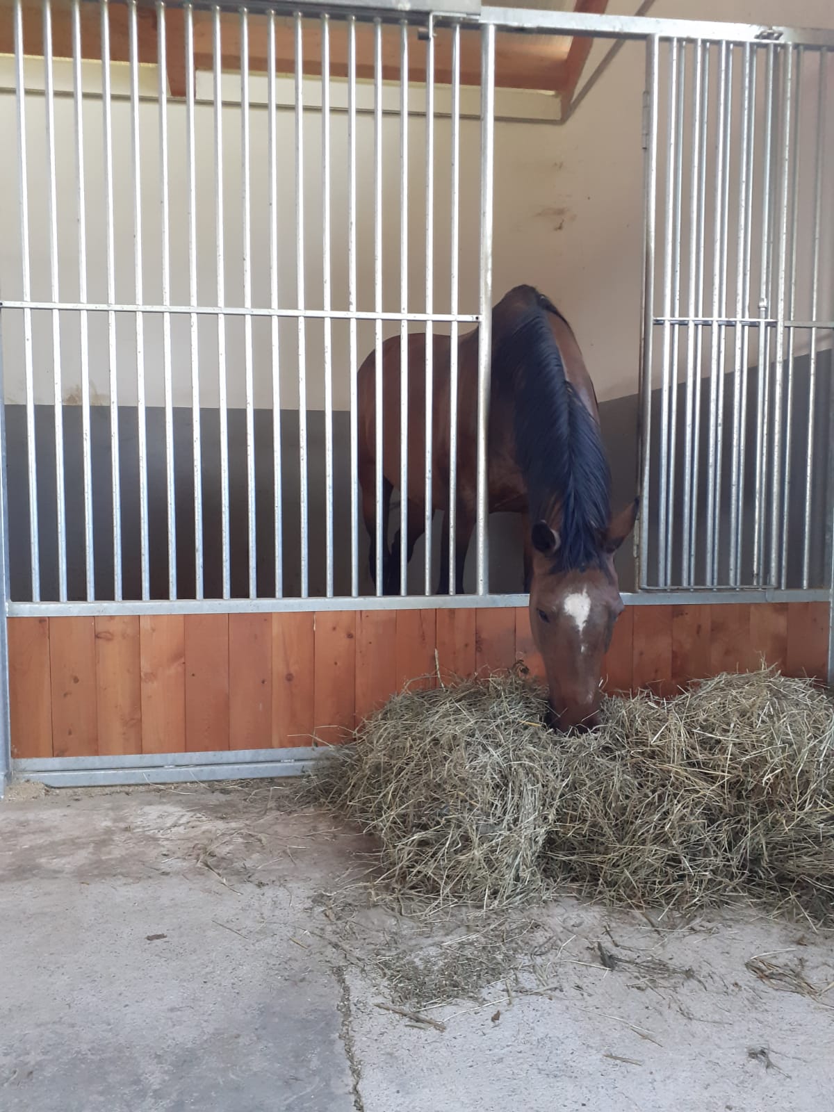 WhatsApp Image 2021 08 31 at 12.57.23