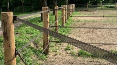 Benessere animale: paddock e recinzioni sono fondamentali