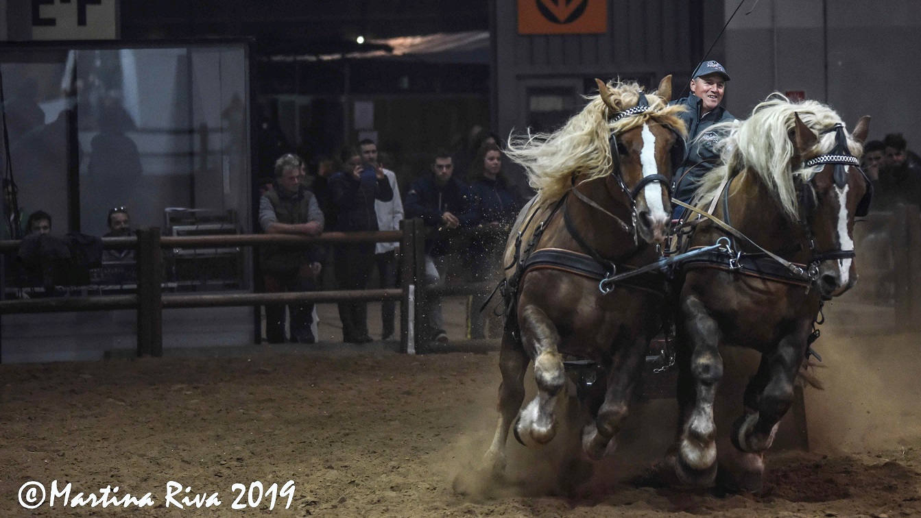 Il Caitpr alla 123° Fieracavalli: mostra e vetrina nazionale