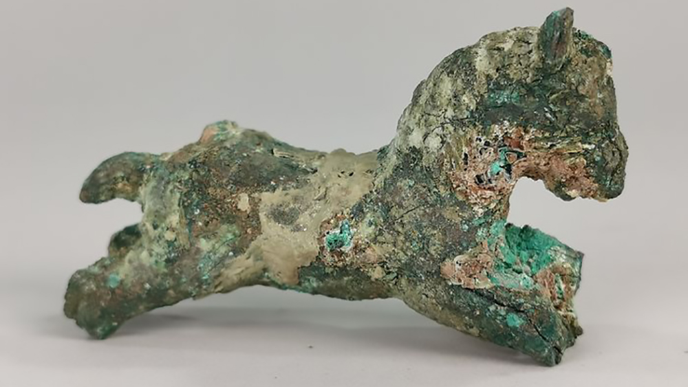 Età del bronzo: l’inizio della nostra storia con il cavallo