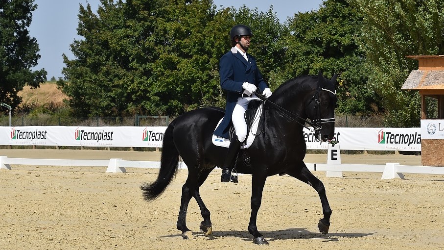 Fuser, cavallo Murgese…d’argento!