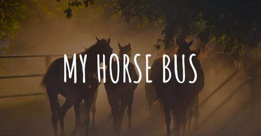 My Horse Bus: in viaggio dal 20 di novembre!