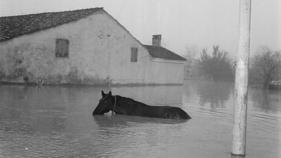 Polesine: 70 anni dopo una mostra racconta la sua rinascita