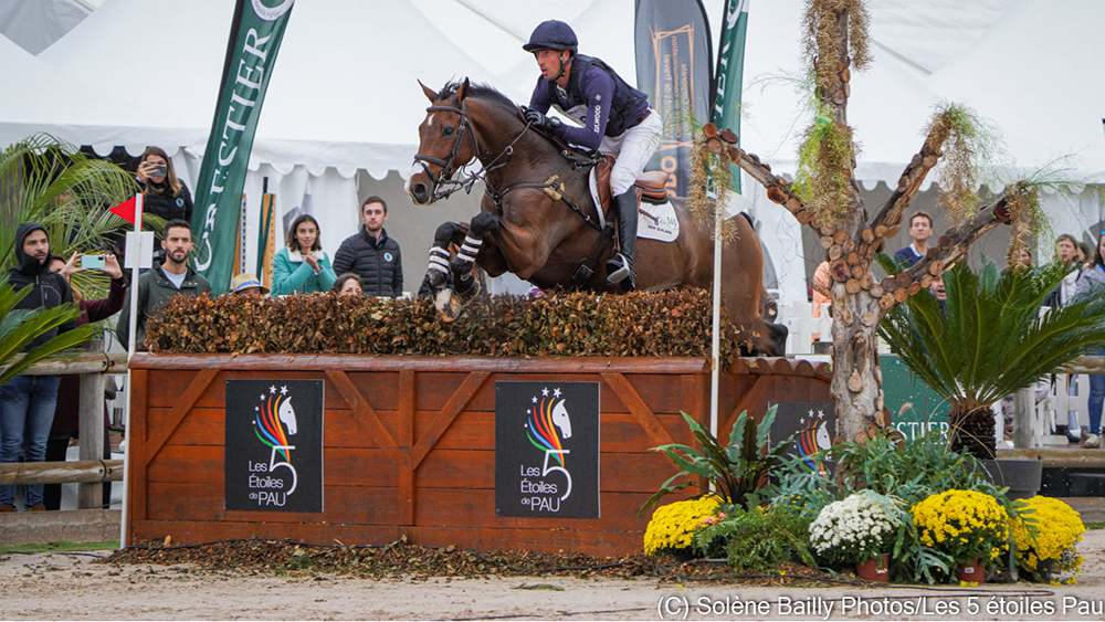 Hannoveraner Falco wins in Pau