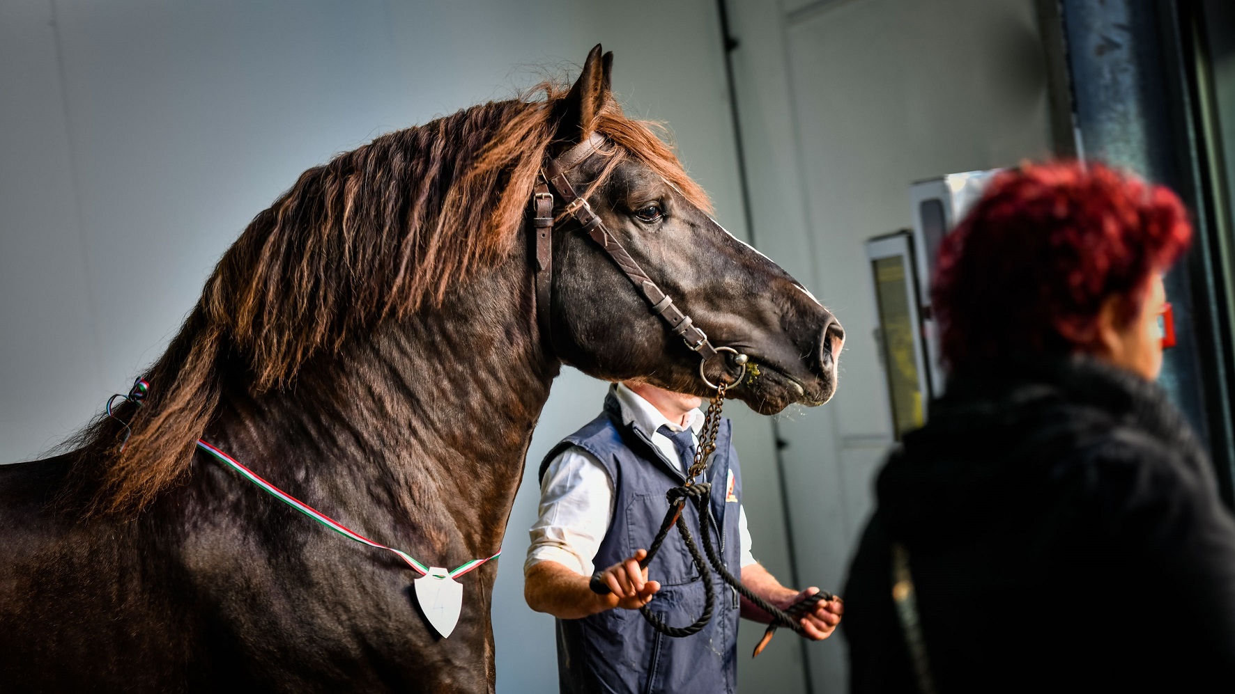 Fieracavalli 2021: gli appuntamenti di venerdì 5 novembre 2021
