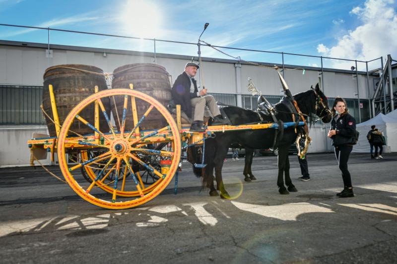 Fieracavalli2021 EnneviFoto Veronafiere 2246