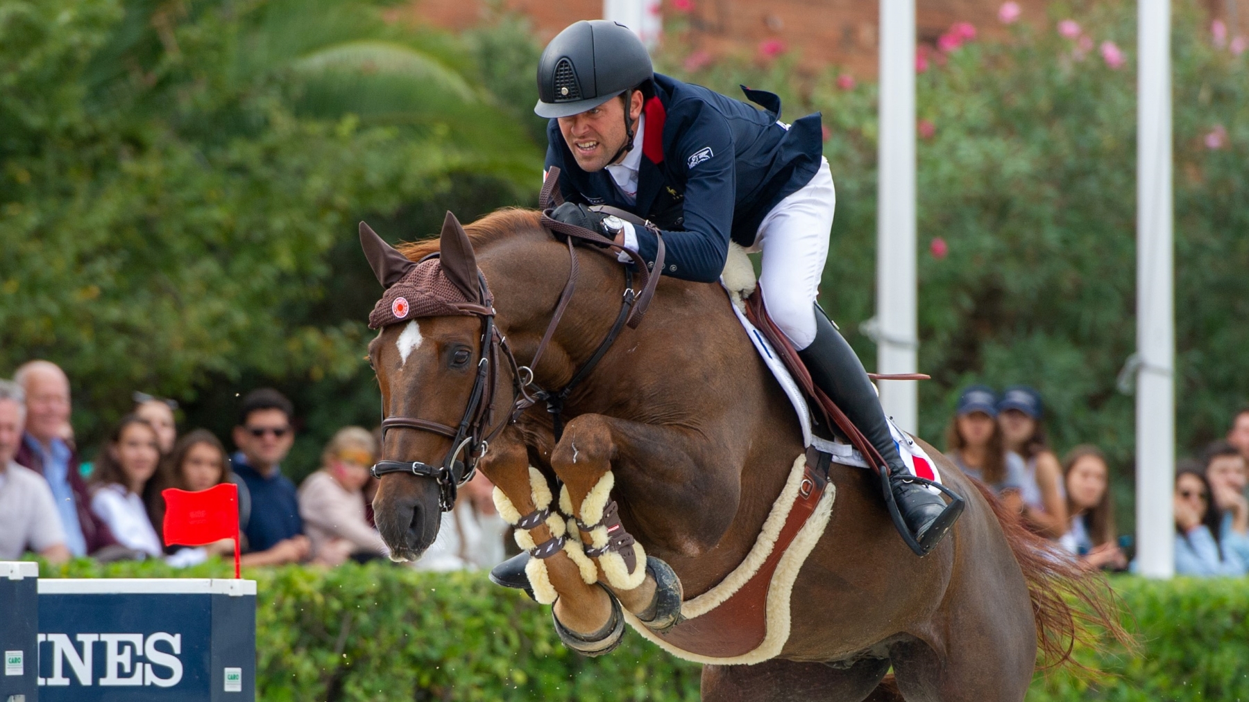 Ryan des Hayettes, cavallo fenomenale!