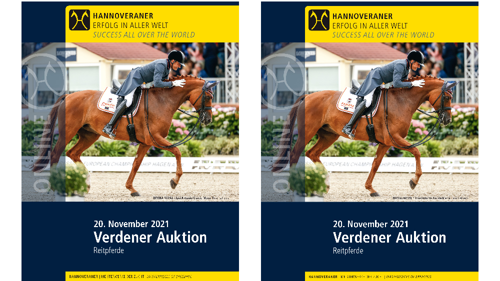 Countdown of the Verden auction
